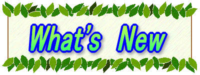 What's�@New 